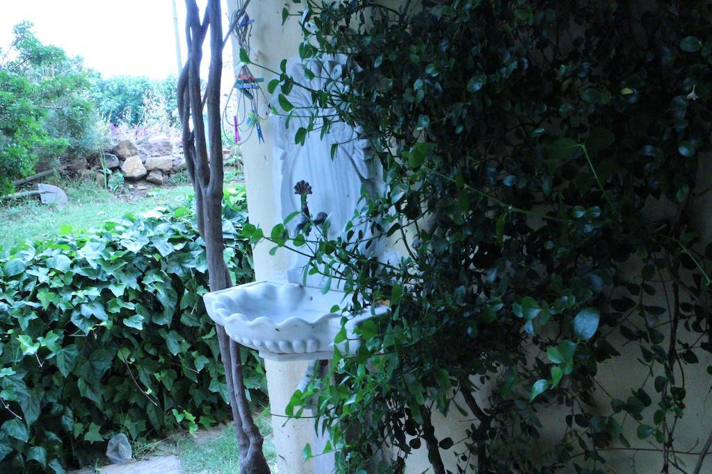 Stone House With Garden In Cunda/Ayvalik Villa Exterior foto